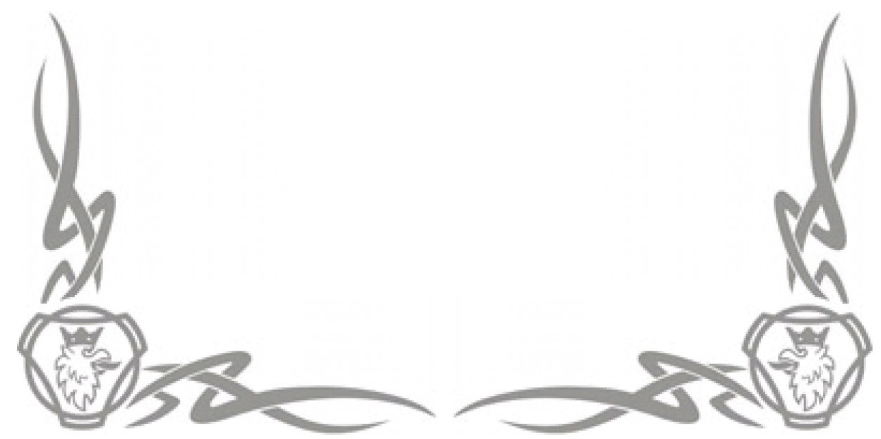 наклейка скания серебро